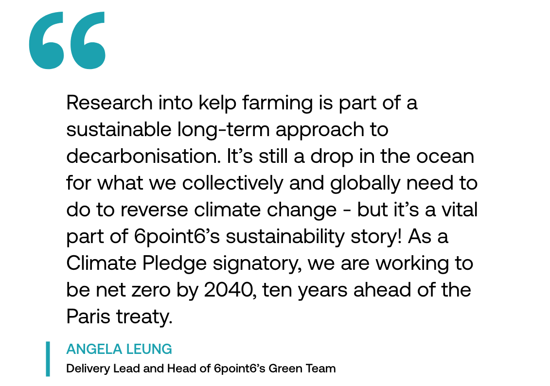 Pull out quote: "Research into kelp farming is part of a sustainable long-term approach to decarbonisation. It’s still a drop in the ocean for what we collectively and globally need to do to reverse climate change - but it’s a vital part of 6point6’s sustainability story! As a Climate Pledge signatory, we are working to be net zero by 2040, ten years ahead of the Paris treaty."  Angela Leung, Delivery Lead and Head of 6point6’s Green Team